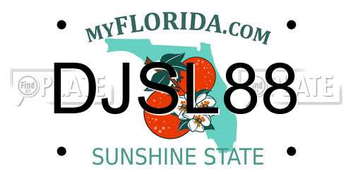 DJSL88 Florida License Plate