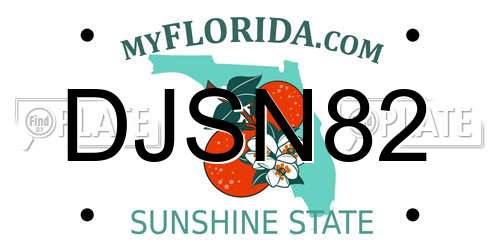 DJSN82 Florida License Plate