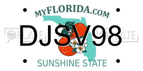 DJSV98 Florida License Plate