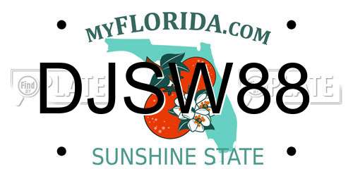DJSW88 Florida License Plate