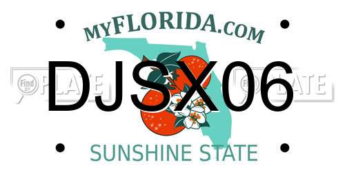 DJSX06 Florida License Plate