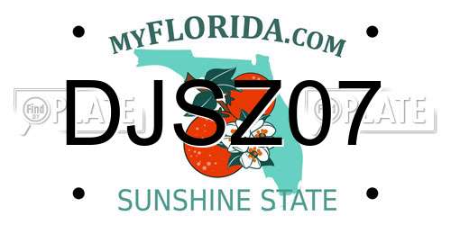 DJSZ07 Florida License Plate