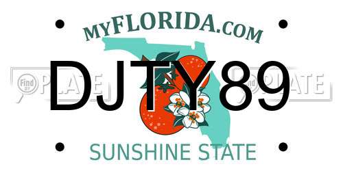 DJTY89 Florida License Plate