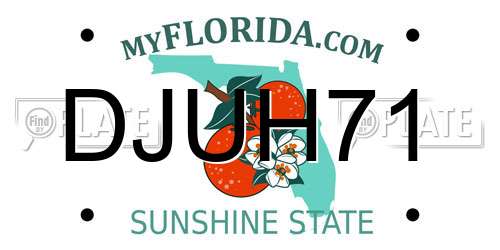 DJUH71 Florida License Plate