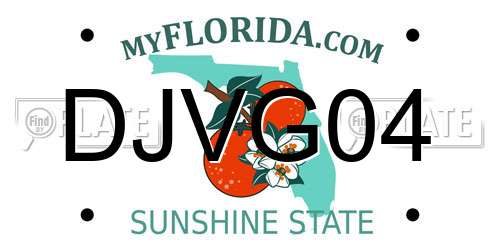 DJVG04 Florida License Plate