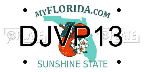 DJVP13 Florida License Plate