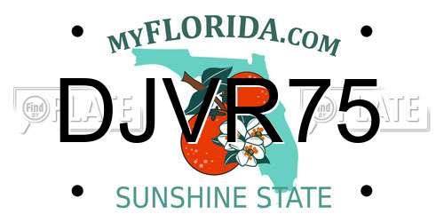 DJVR75 Florida License Plate
