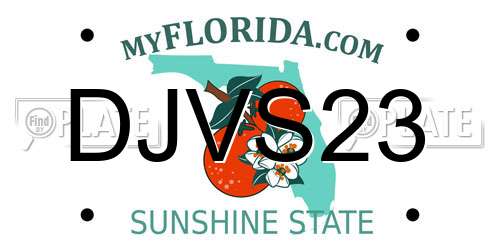 DJVS23 Florida License Plate