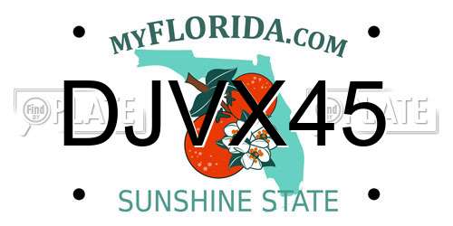 DJVX45 Florida License Plate