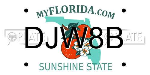 DJW8B Florida License Plate