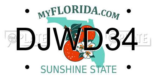 DJWD34 Florida License Plate