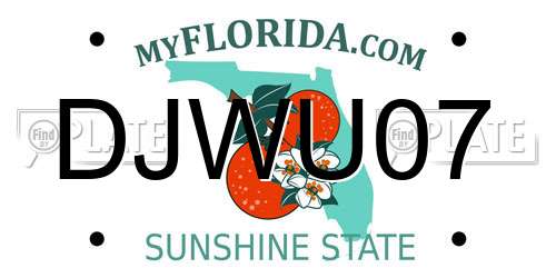 DJWU07 Florida License Plate