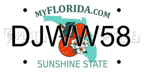 DJWW58 Florida License Plate