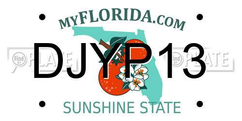 DJYP13 Florida License Plate
