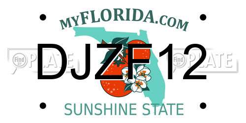 DJZF12 Florida License Plate