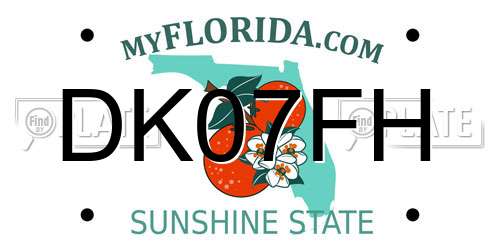 DK07FH Florida License Plate