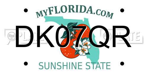 DK07QR Florida License Plate