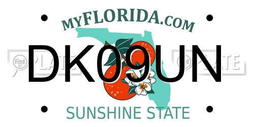 DK09UN Florida License Plate
