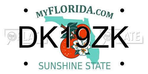 DK19ZK Florida License Plate