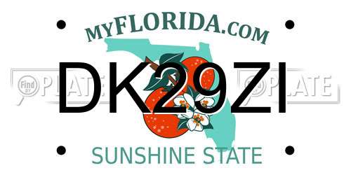 DK29ZI Florida License Plate