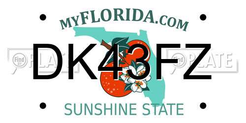 DK43FZ Florida License Plate