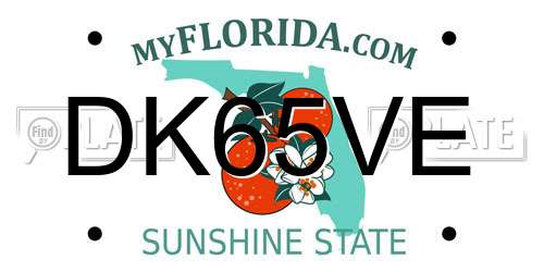 DK65VE Florida License Plate
