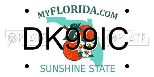DK99IC Florida License Plate