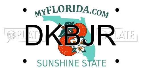 DKBJR Florida License Plate