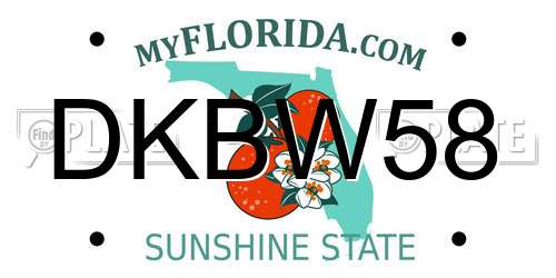 DKBW58 Florida License Plate