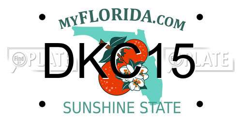 DKC15 Florida License Plate