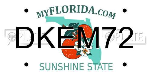 DKEM72 Florida License Plate