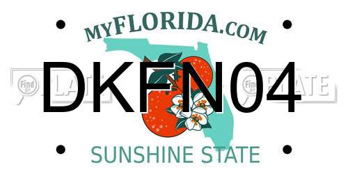 DKFN04 Florida License Plate