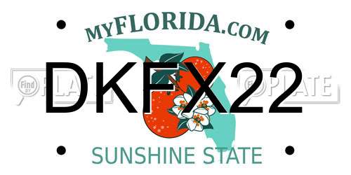 DKFX22 Florida License Plate