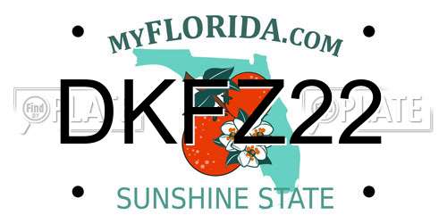 DKFZ22 Florida License Plate