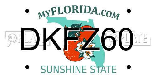 DKFZ60 Florida License Plate