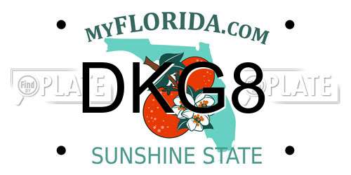DKG8 Florida License Plate
