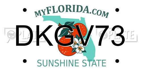 DKGV73 Florida License Plate