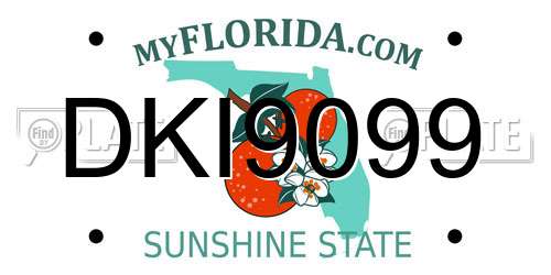 DKI9099 Florida License Plate