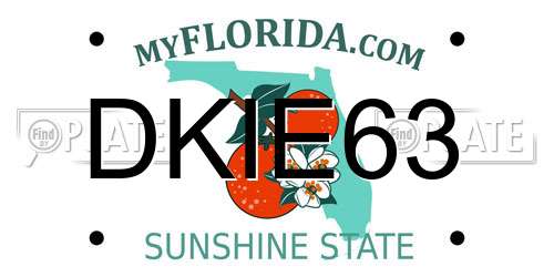 DKIE63 Florida License Plate