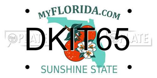DKIT65 Florida License Plate
