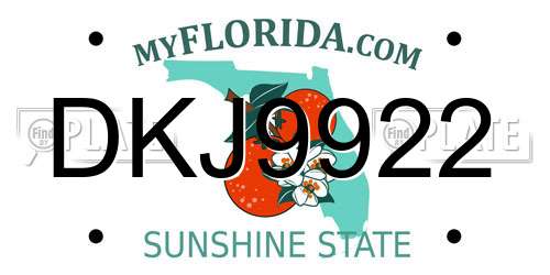 DKJ9922 Florida License Plate