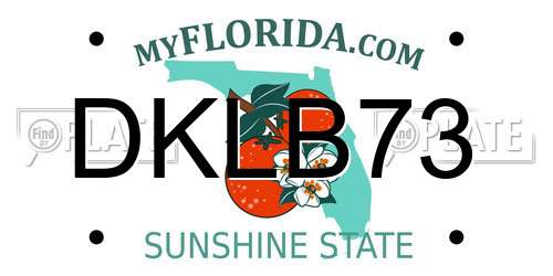 DKLB73 Florida License Plate