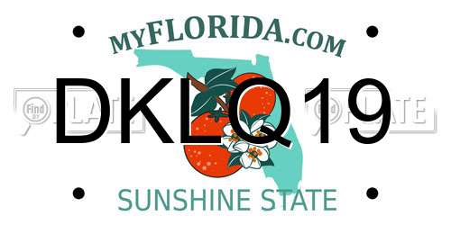 DKLQ19 Florida License Plate