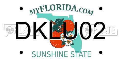 DKLU02 Florida License Plate