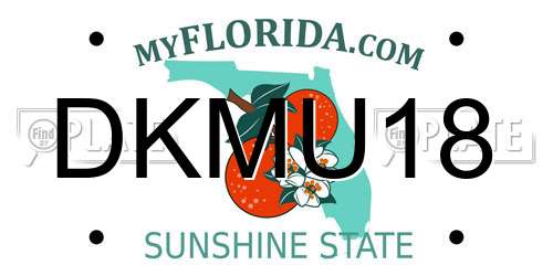DKMU18 Florida License Plate