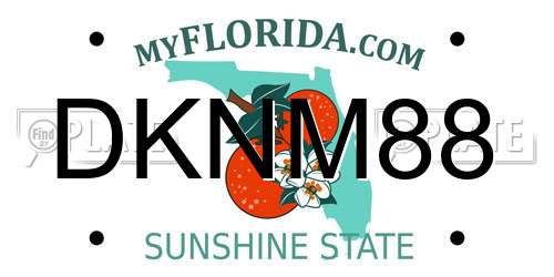 DKNM88 Florida License Plate