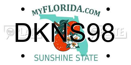 DKNS98 Florida License Plate