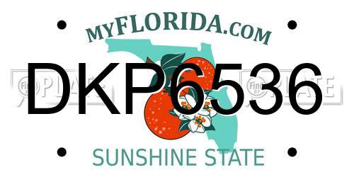 DKP6536 Florida License Plate