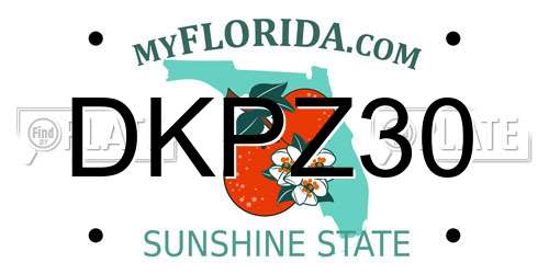 DKPZ30 Florida License Plate