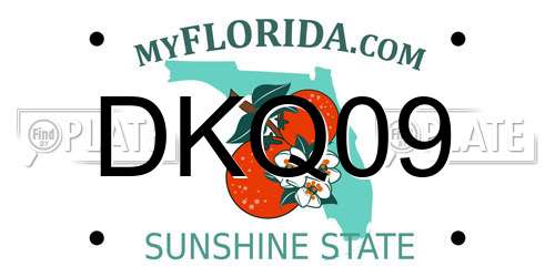 DKQ09 Florida License Plate